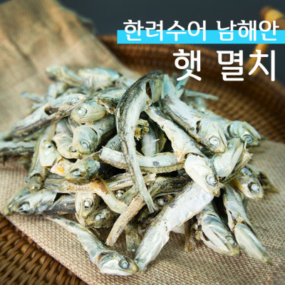 남해안 햇 멸치 국물용 박스멸치 1.5.kg